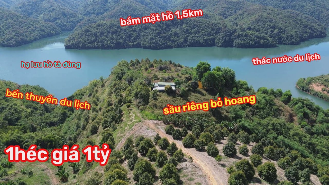 Bán 10 HÉC Đất Vườn Sầu Riêng,bám mặt hồ ở hạ lưu Tà Đùng,Phù Hợp Bến Thuyền Du Lịch,Nông Trại,1O TỶ