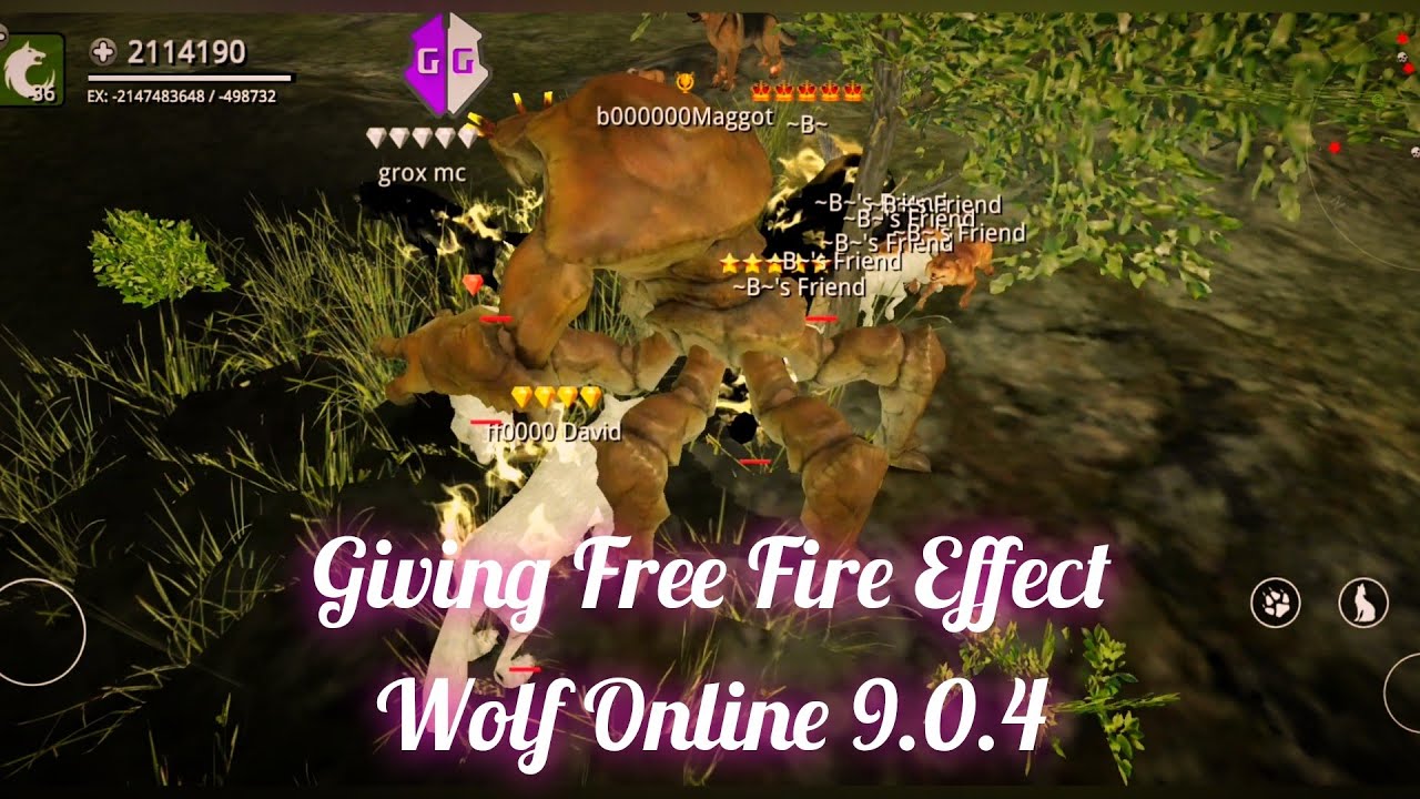 Giving Free Fire Effect on Wolf Online 9.0.4