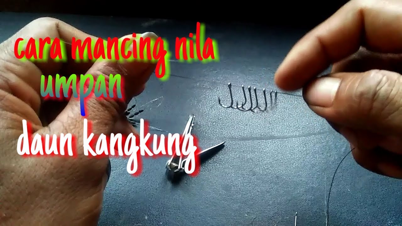 TUTORIAL PASANG KAIL PANCING UMPAN DAUN KANGKUNG
