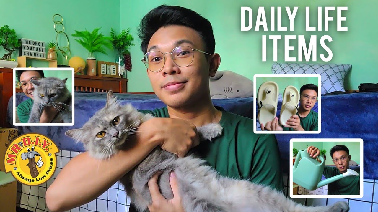 MR.DIY HAUL Episod 48 | DAILY LIFE ITEMS 🐱✨️