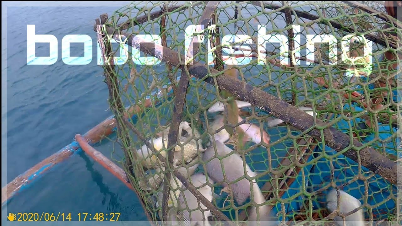 FISH TRAP 