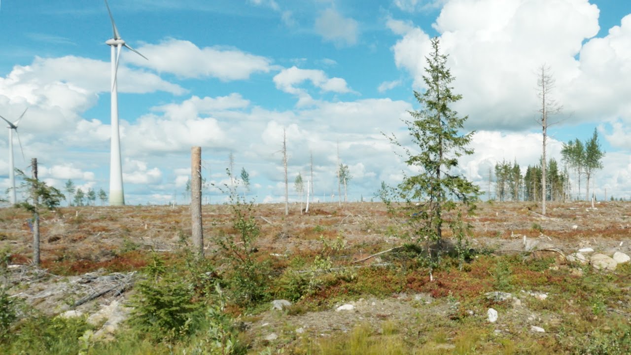 Ogrön vindkraft