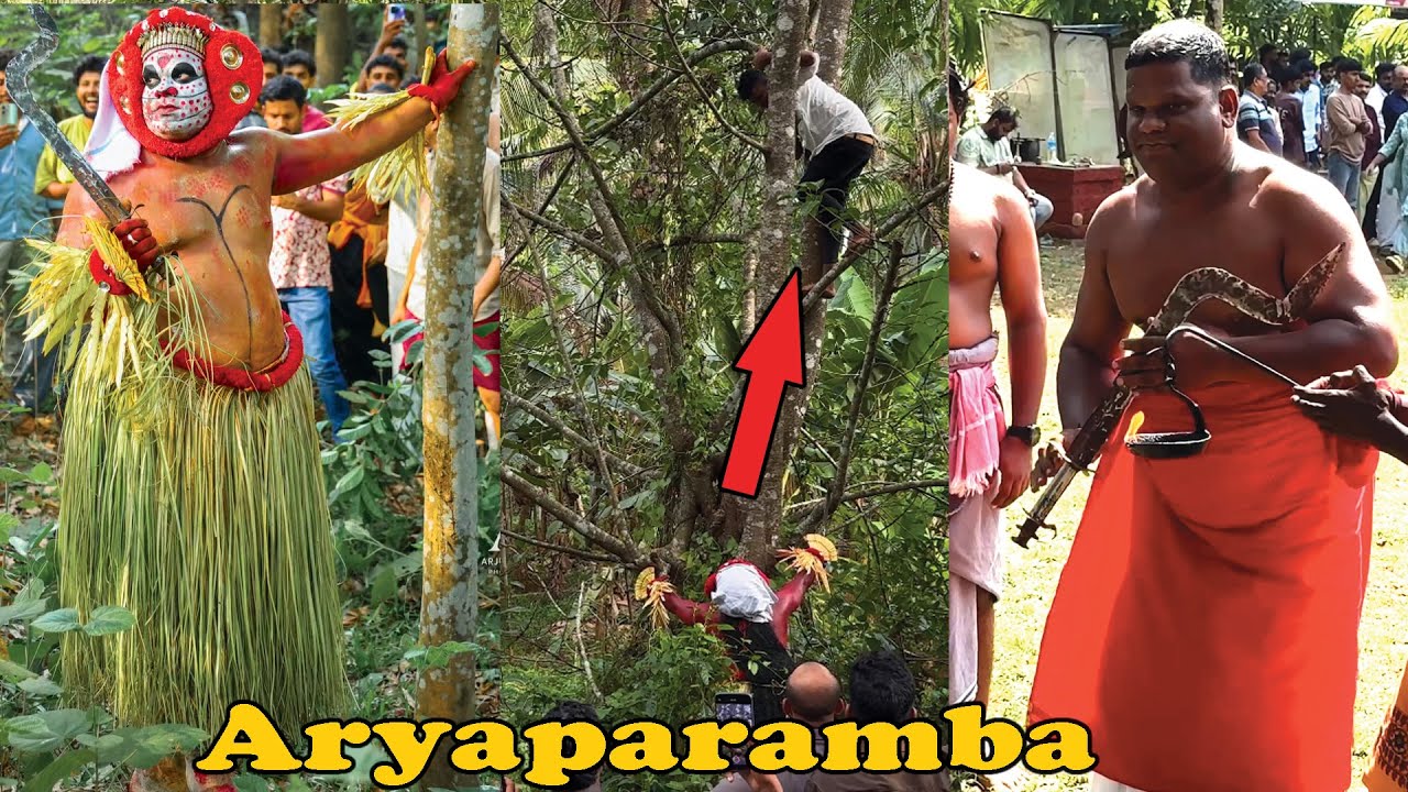 പുരുഷന്മാർ പോലും ഭയന്നുപോകും ഈ തെയ്യത്തെ കണ്ടാൽ | Kaithachamundi theyyam |  Aryaparamba