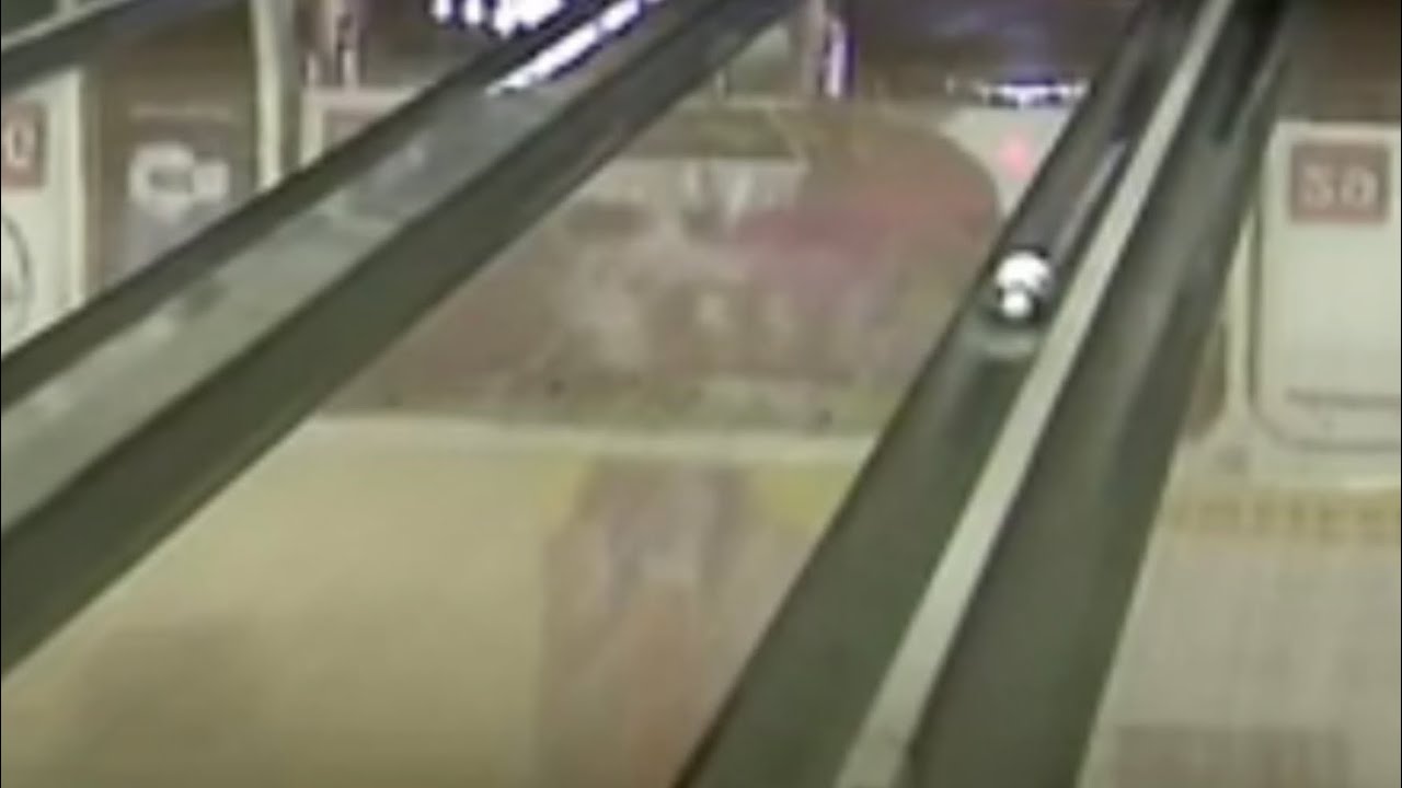 Bowling Deadwood Compilation