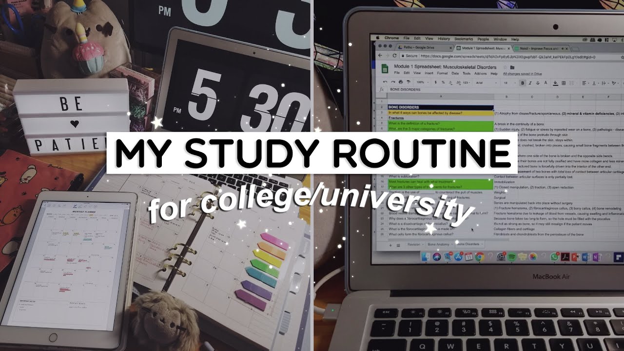 My Study Routine ✏️ | Active Recall
