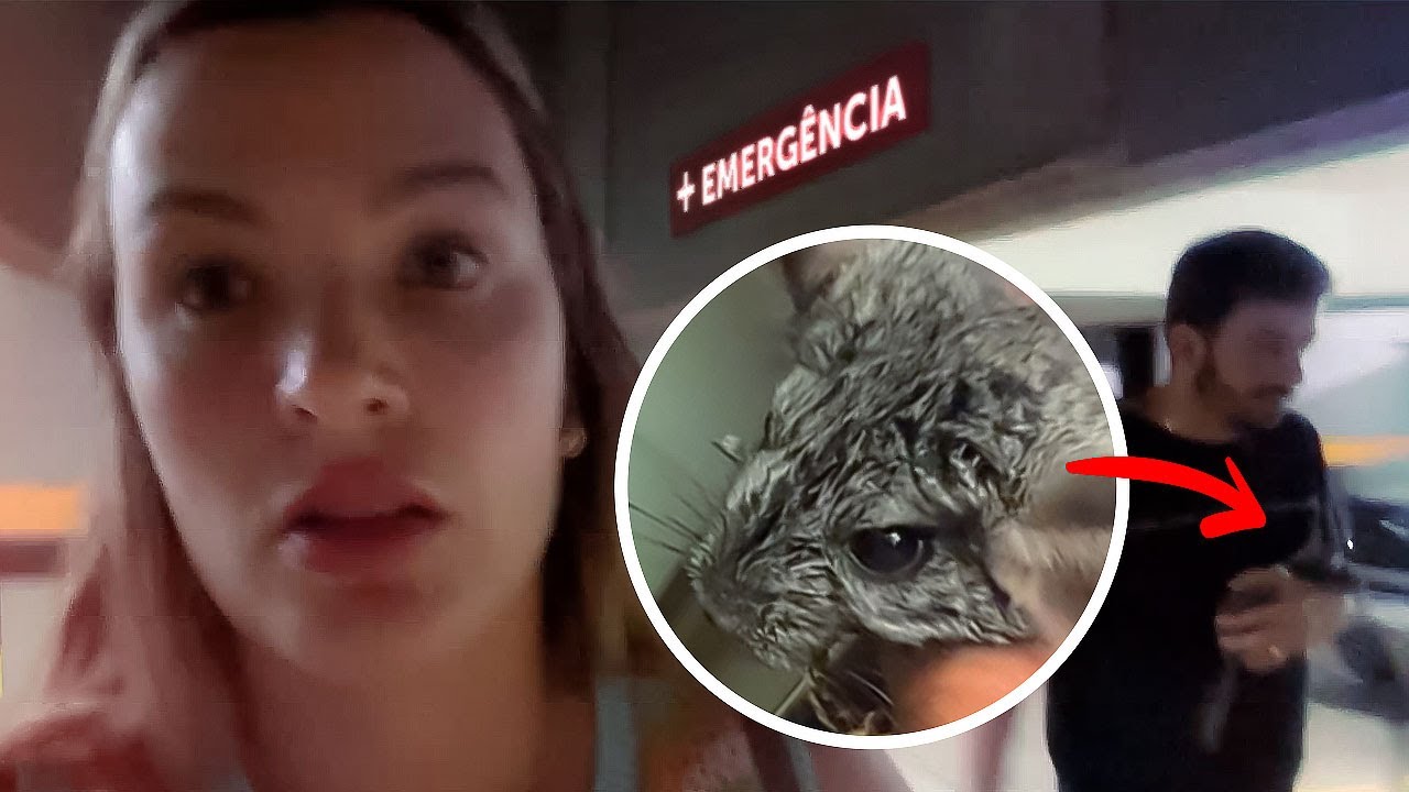 A Fofucha foi internada no primeiro dia da viagem na mudan&ccedil;a