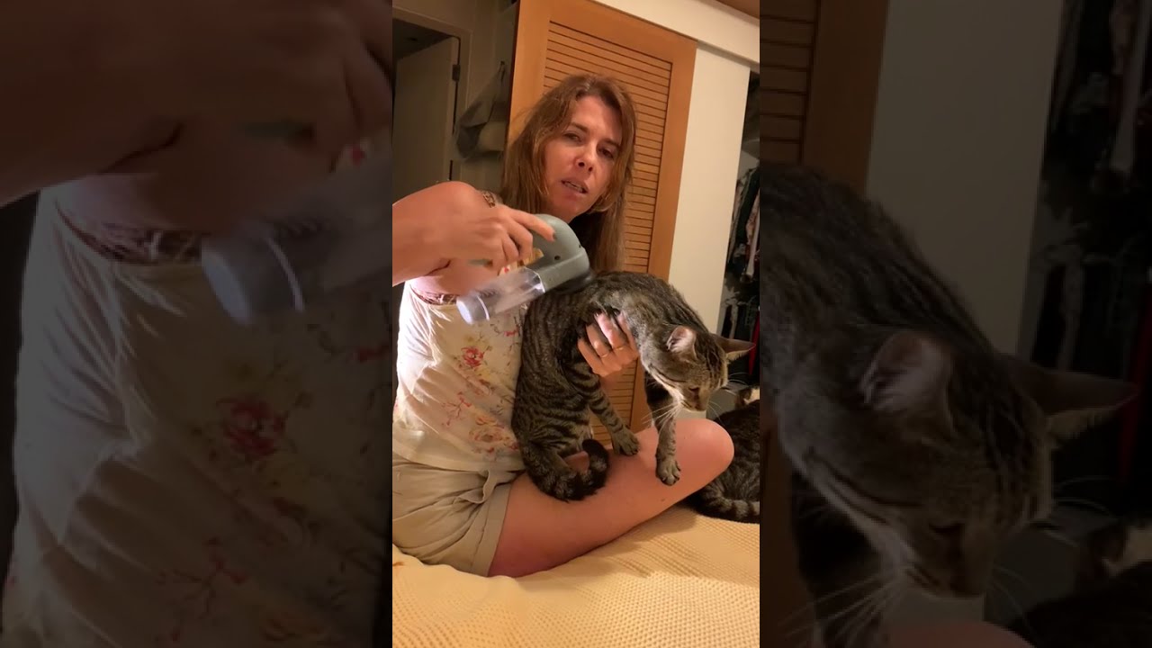 Aspirador de Pelo - Shed Pal - dica para aspirar gatos