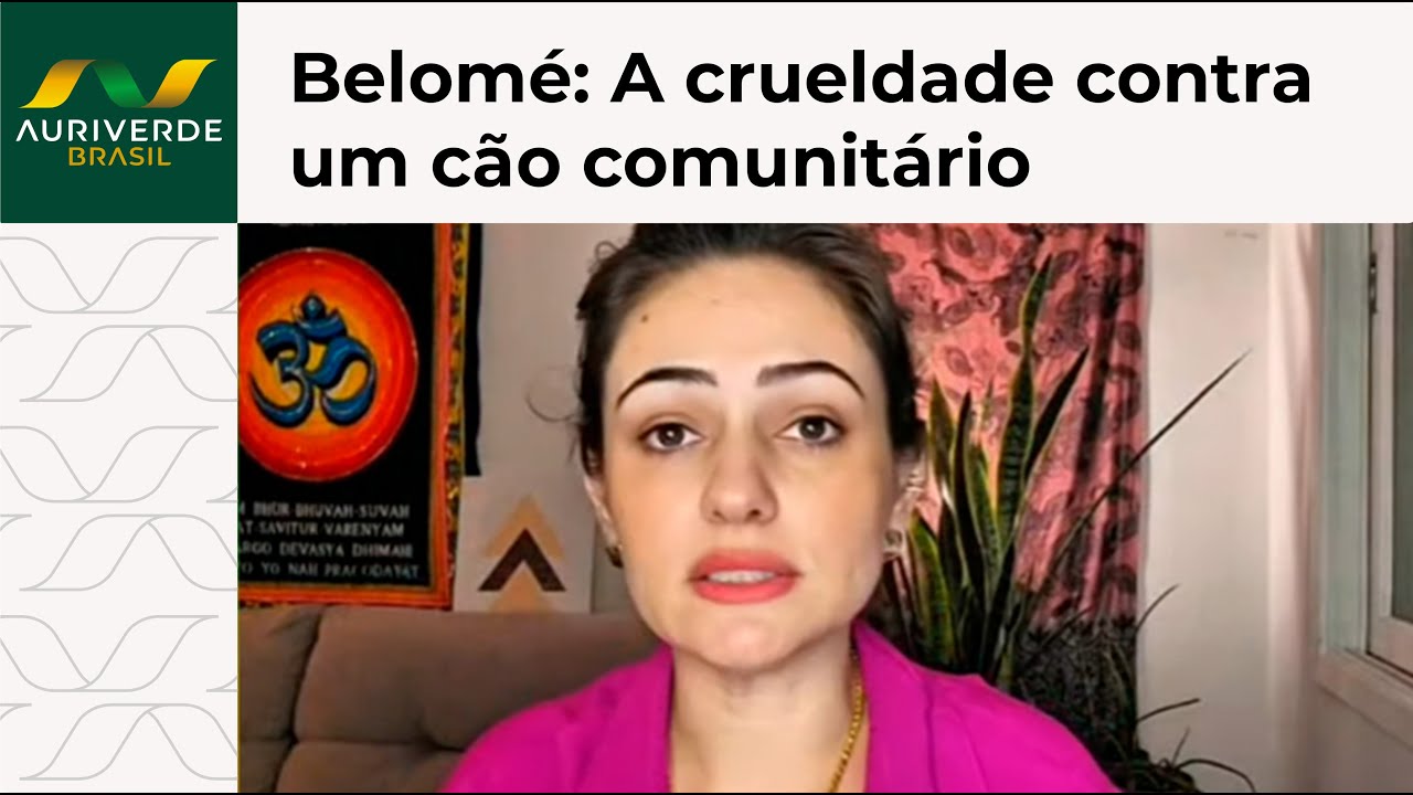 Carina Belomé: A crueldade contra um cão comunitário