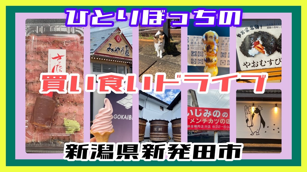 【新潟県新発田市】買い食いドライブ