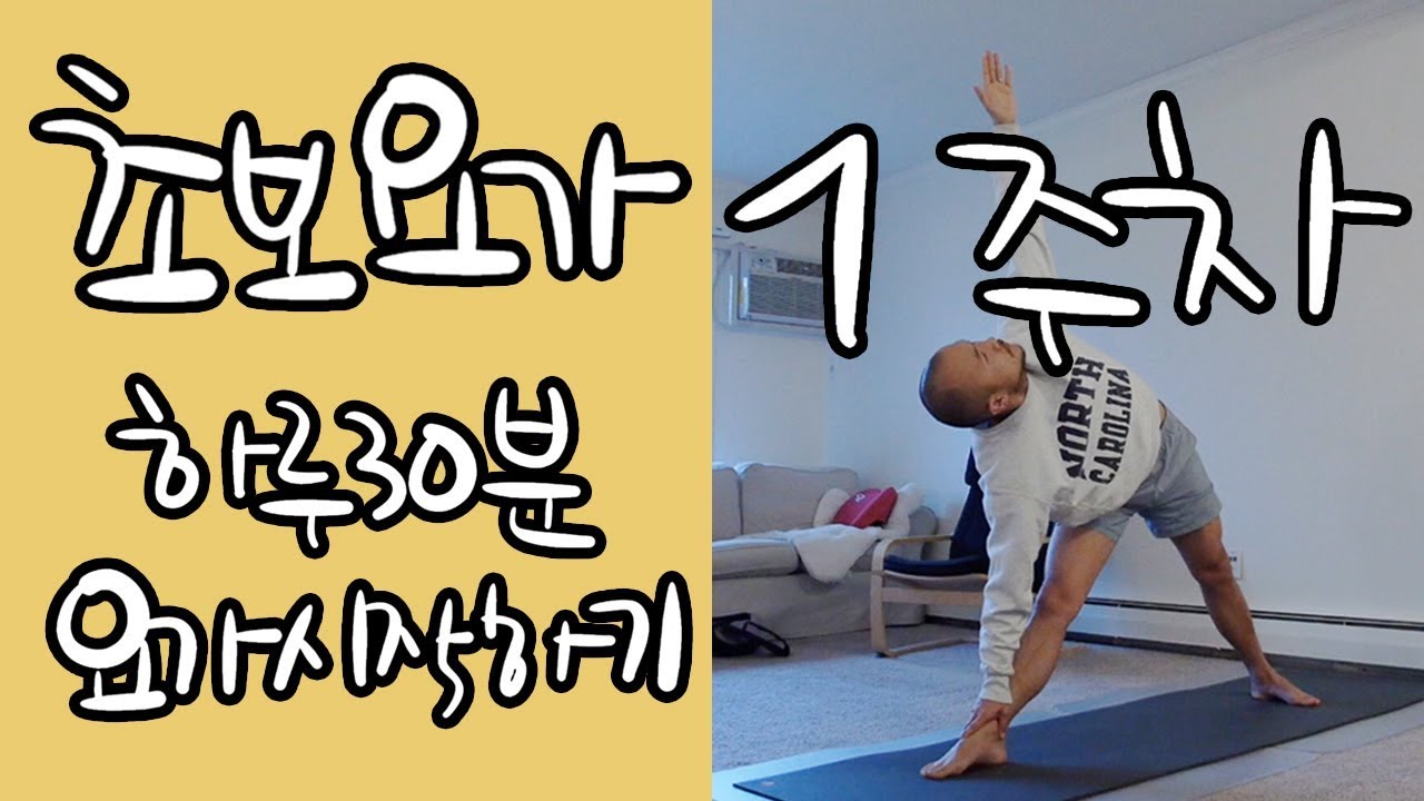 초보요가 1주차 하루 30분 요가 시작하기 | 기초요가 4주 프로그램 | 요가소년 016