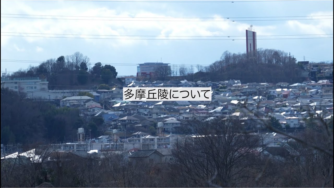 多摩丘陵インタビュー｜明星大学