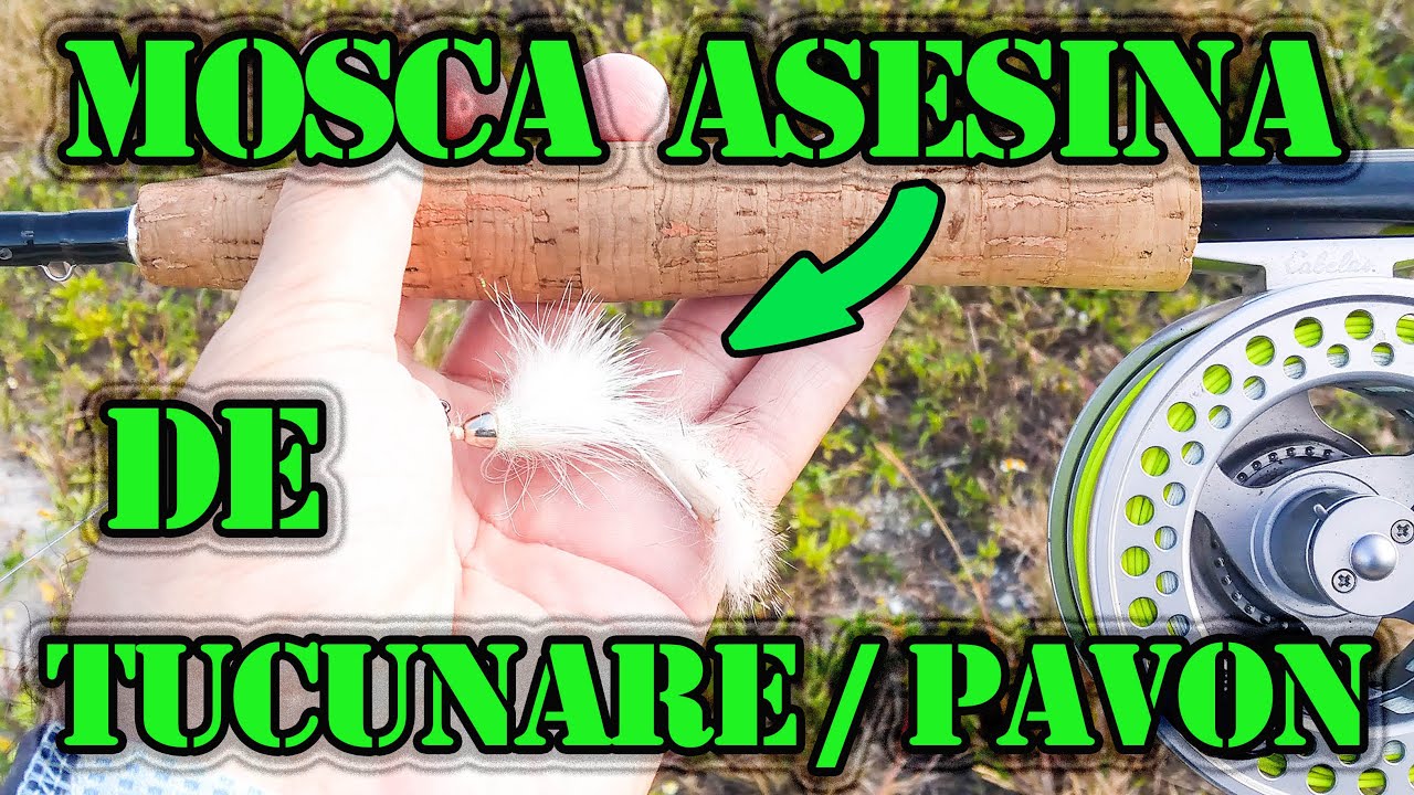 Pesca a LA VISTA de TUCUNARES y una especie SORPRESA  - 📽 # 194