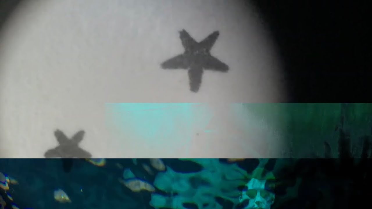 Mt. Misery - Spinning Top