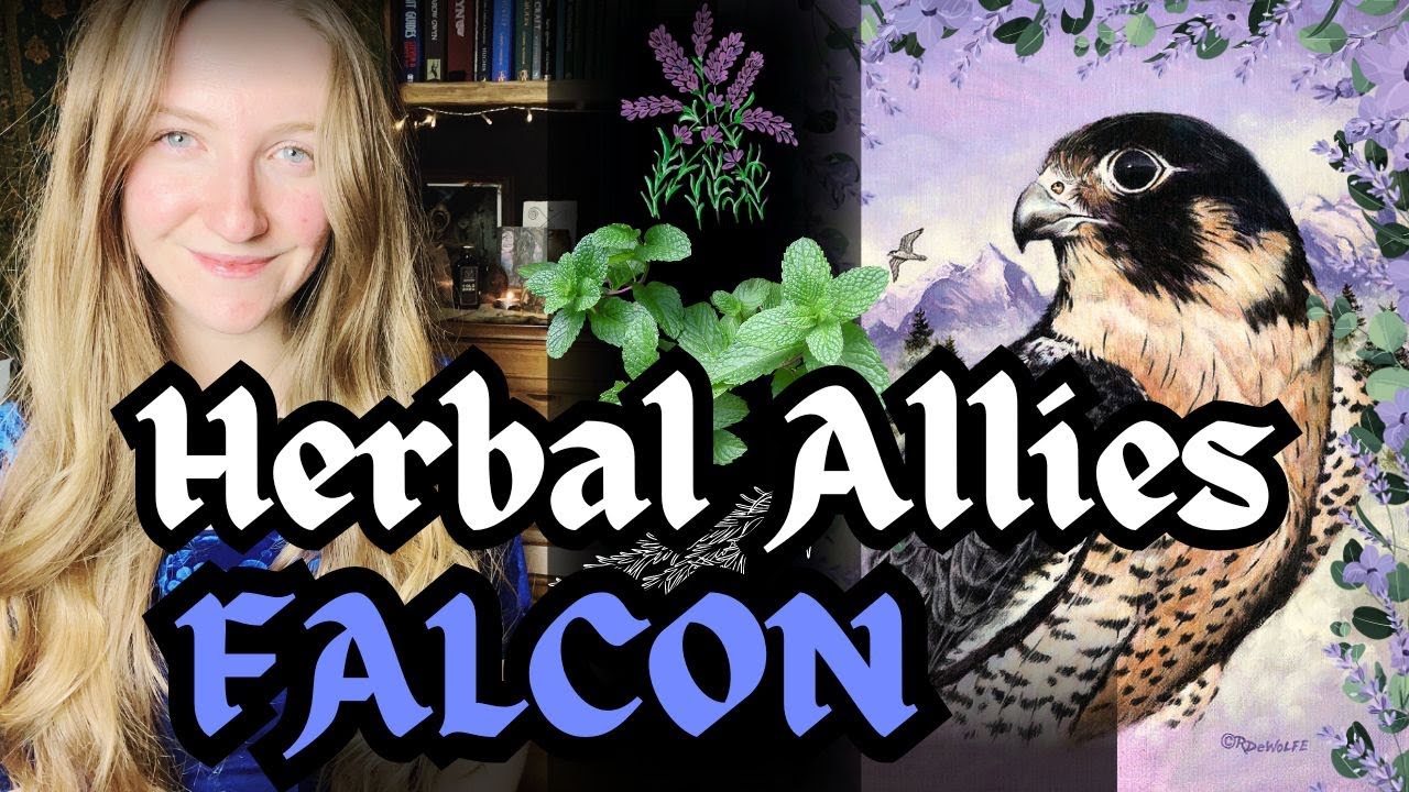Falcon Spirit Medicine 