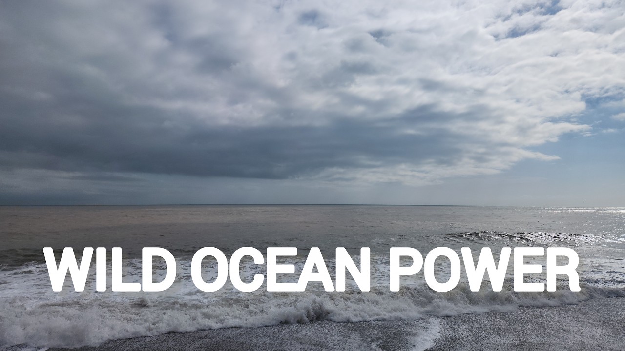 Wild Ocean Power 🌊 10 Minutes of Roaring Waves