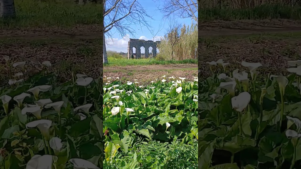 Parco degli Acquedotti