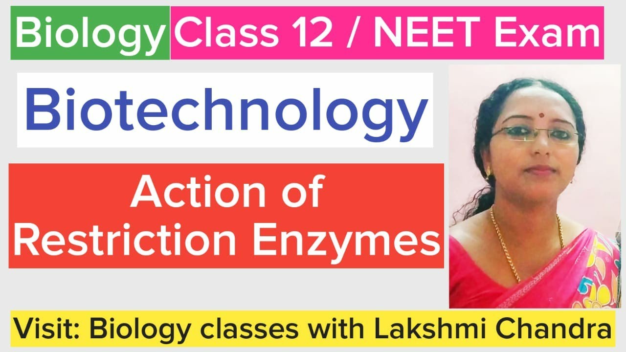 Biotechnology - Action of Restriction Enzymes | Class 12 Biology | NEET Biology