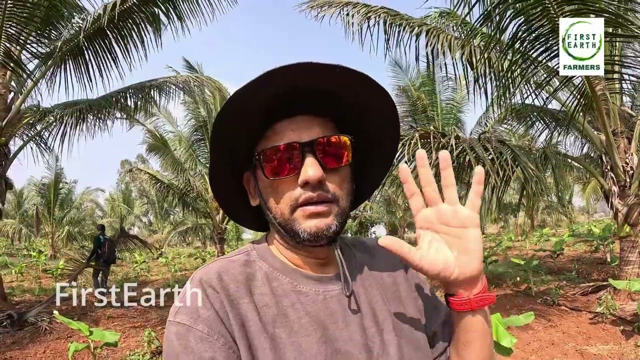 Yelakki Banana 50 Days 100% Natural Farming
