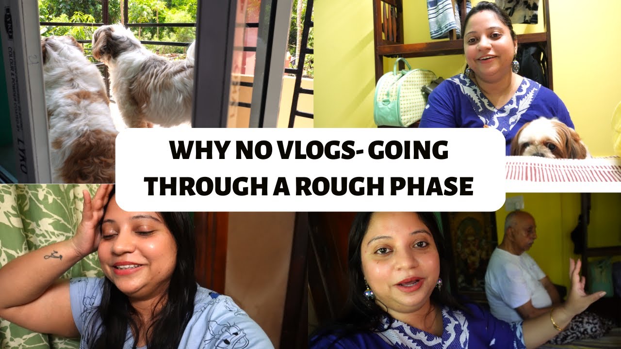 Our life update - going through a rough phase | Why no video | Puppies at Dadu's new home