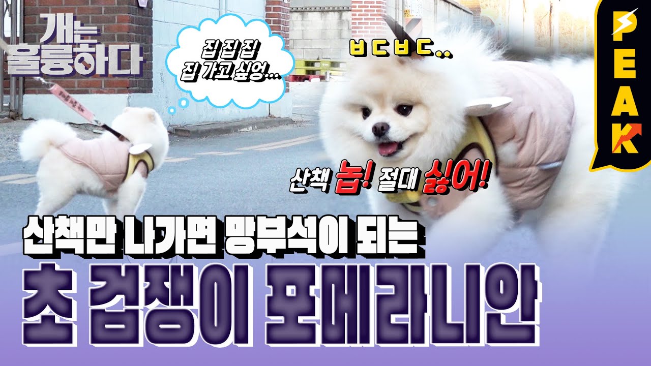 [#피크타임] 