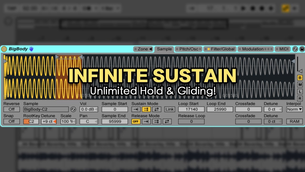 Infinite Sustain in Ableton Sampler - Make your 808s, Samples and Vocal Chops Hold Forever!