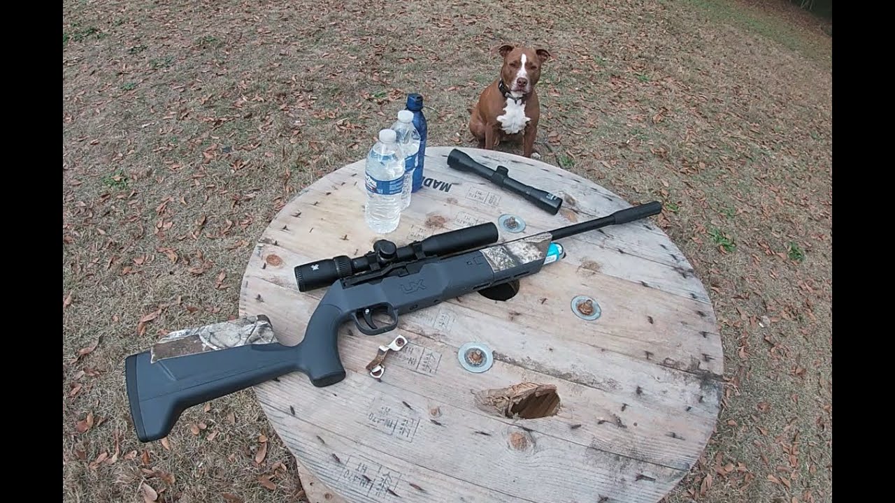 Umarex Komplete 22. air Rifle test two. (Catch and Cook)