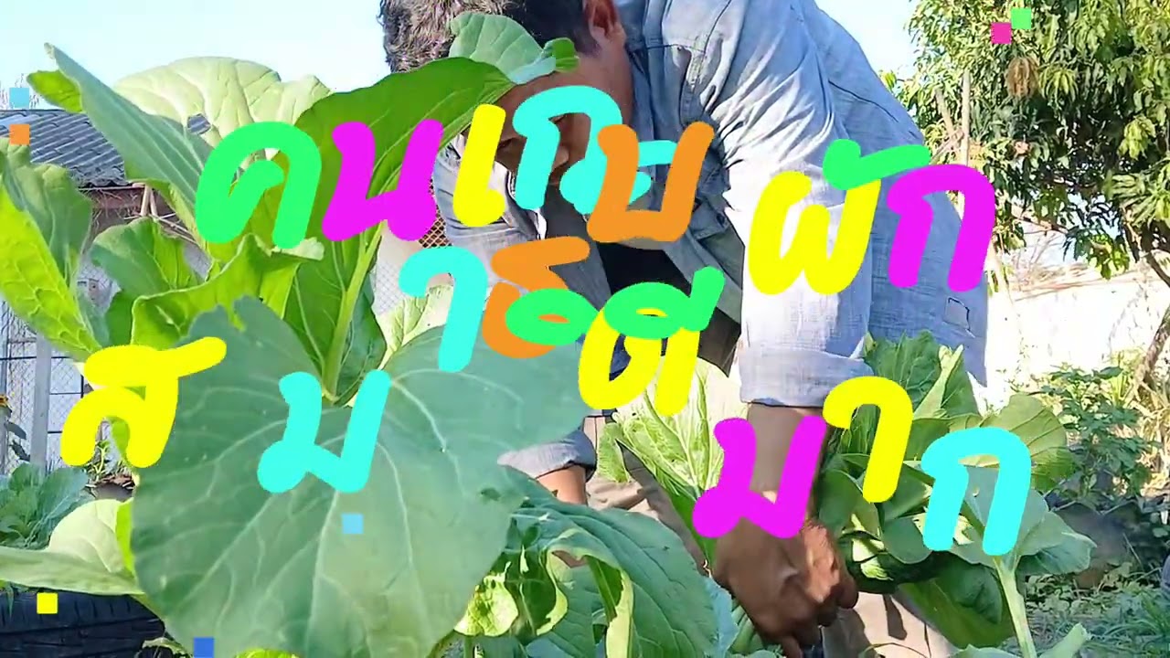พอเพียงพออยู่พอกิน