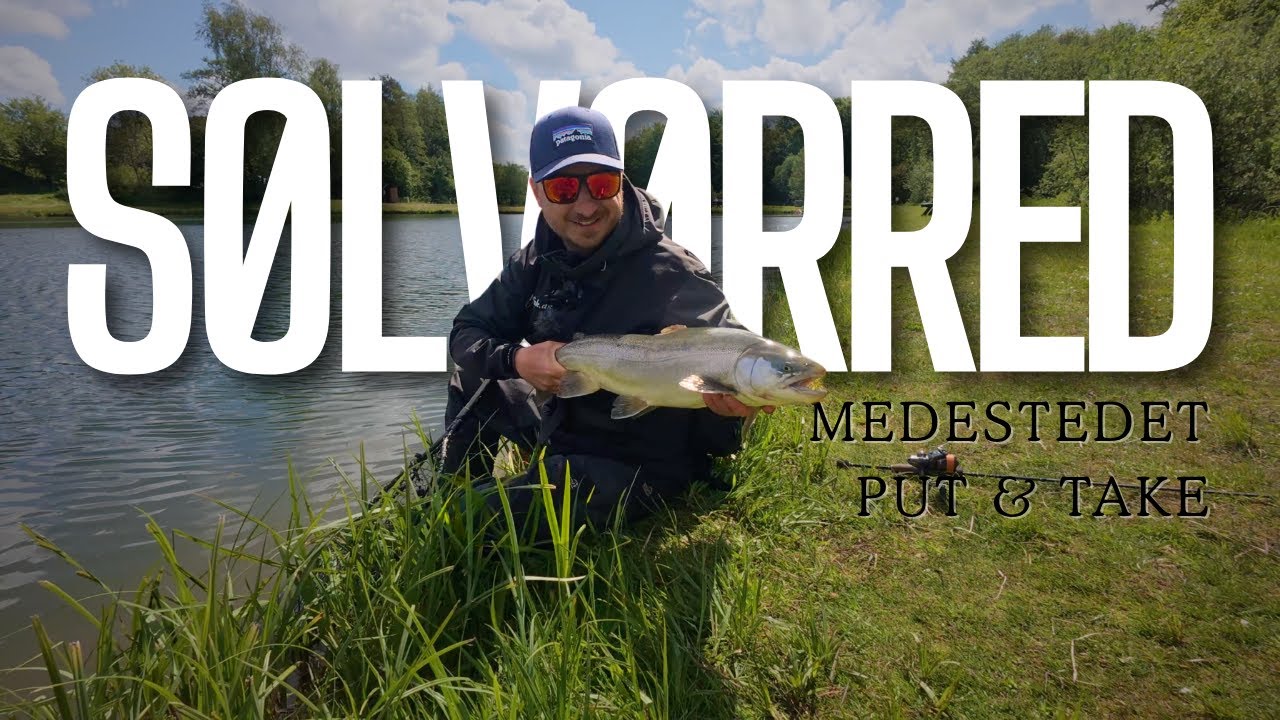 Kæmpe sølvørred på Fidusen i Medestedet Put and Take! Sommerfiskeri når det er bedst.