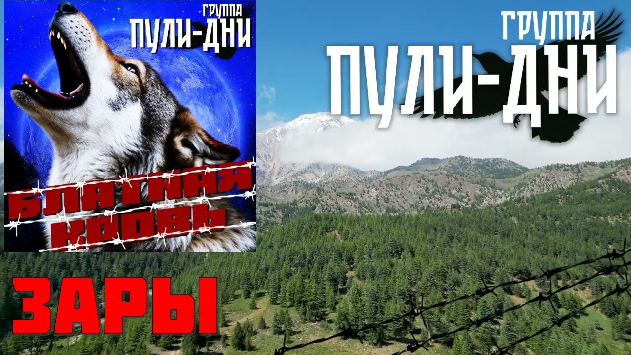 Группа Пули Дни   Зары