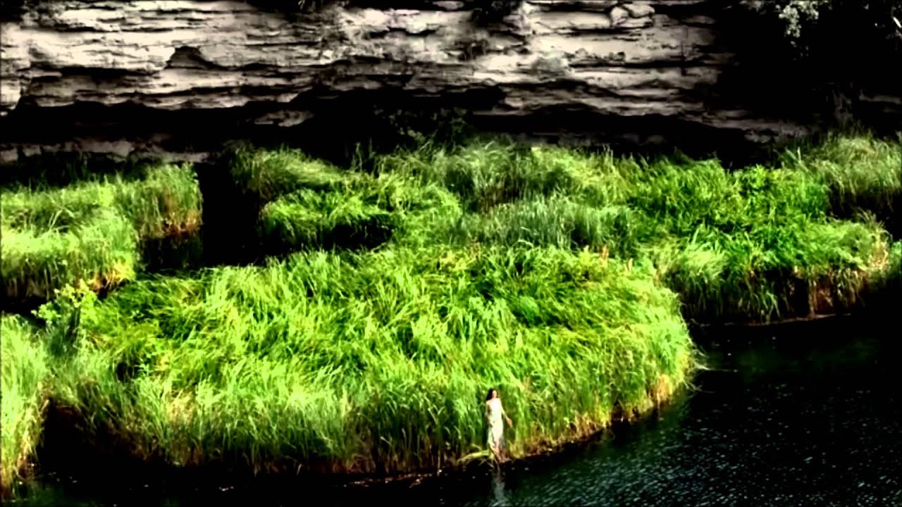 Max Denoise & Anthya - Elusive ( video ) cut mix