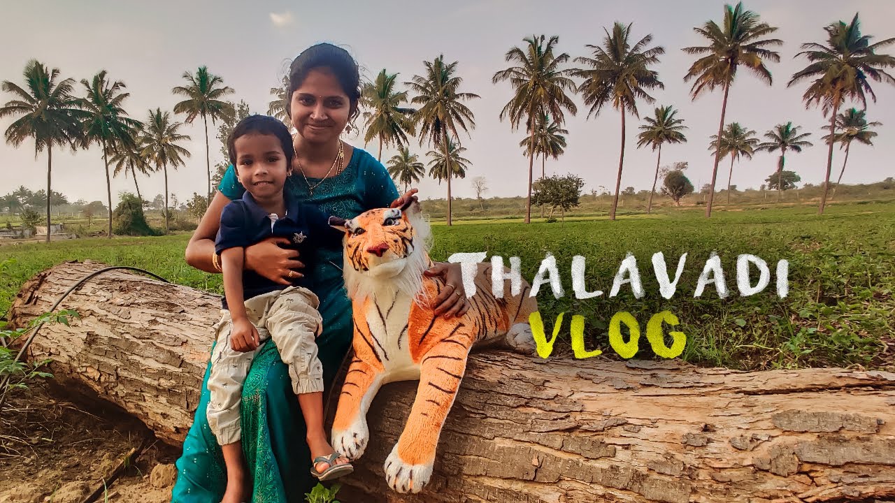 Thalavadi Travel Vlog | Accident at Dhimbam 27 hairpin bends | Sathyamangalam | Thalamalai | Thimbam