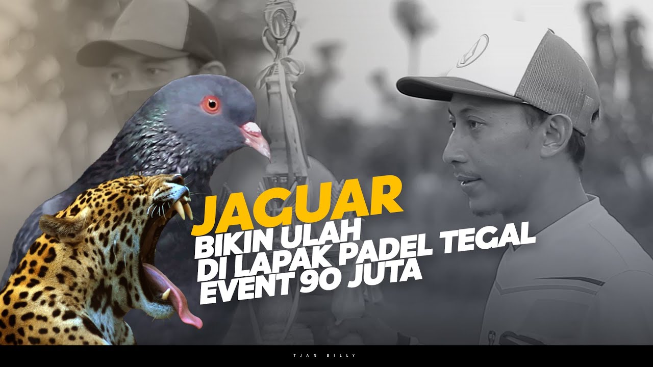 FINAL KEREN!! EVENT MOBIL MERPATI KOLONG LAPAK PADEL TEGAL | JAGUAR KENWOOD VS SAPULAWAN