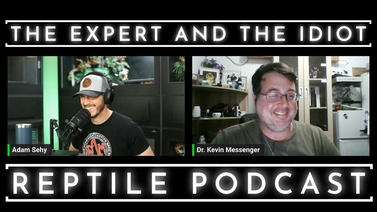 136 - The Venomous Snakes of China with Dr. Kevin Messenger - The Expert and The Idiot