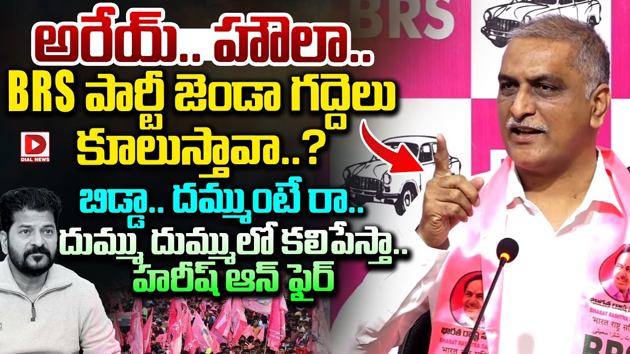 అరేయ్..హౌలా..దమ్ముంటే రా..! Harish Rao Mass Warning to CM Revanth Reddy | Dial News