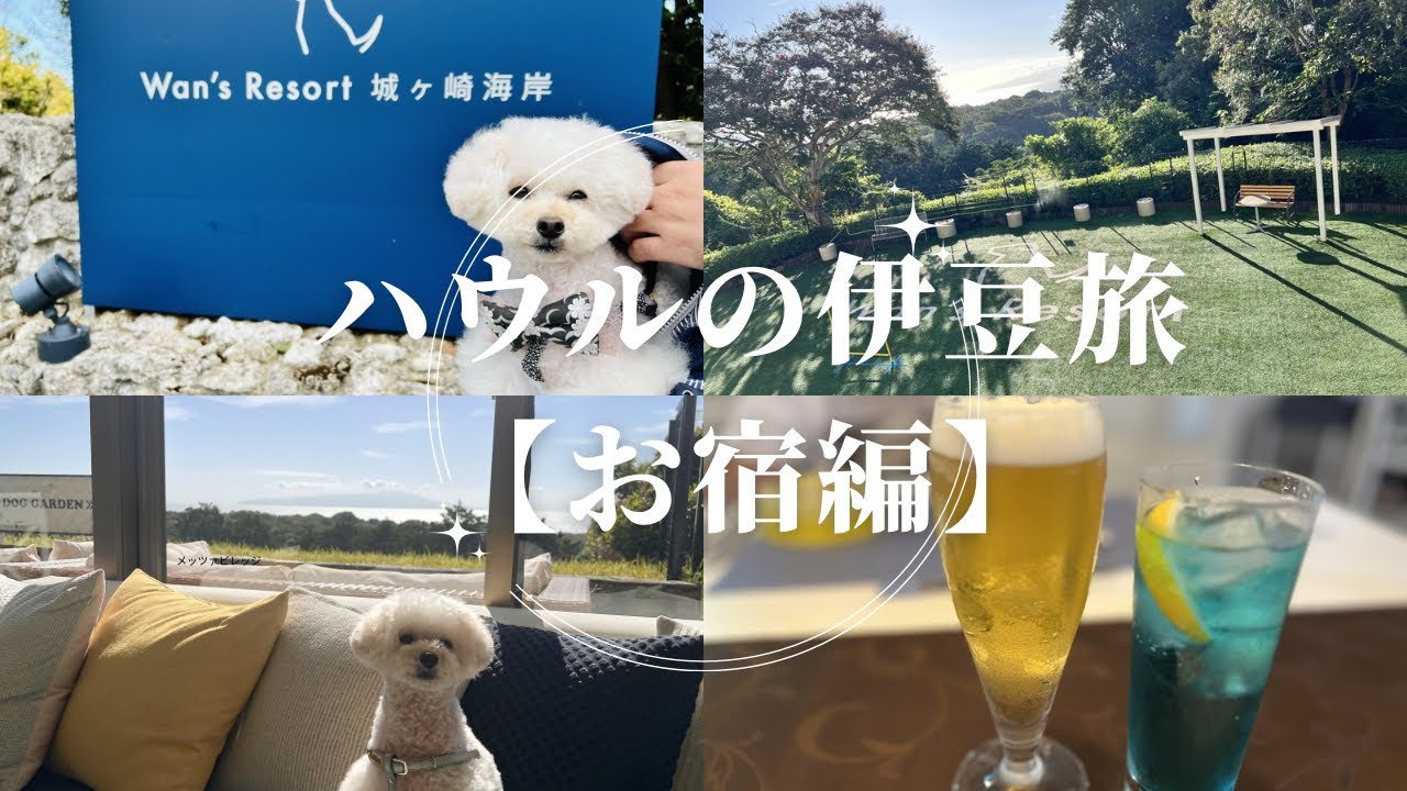【Wan’sResort城ヶ崎海岸】わんわんパラダイスプレミア伊豆高原になる前ですが行って来ました！（ハウル散歩#39）