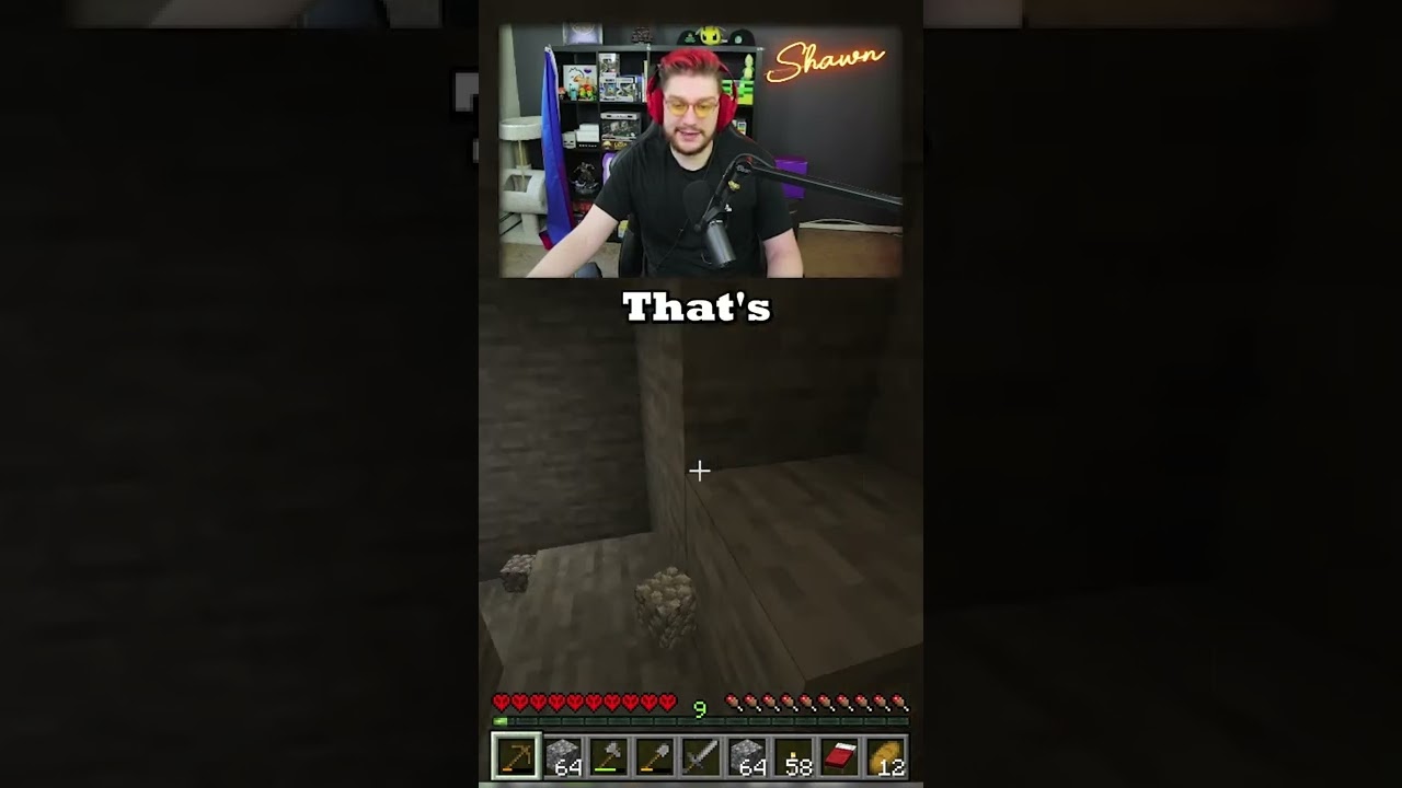 The Minecraft Experience #shawngames #shorts30 #minecraft #minecraftshorts