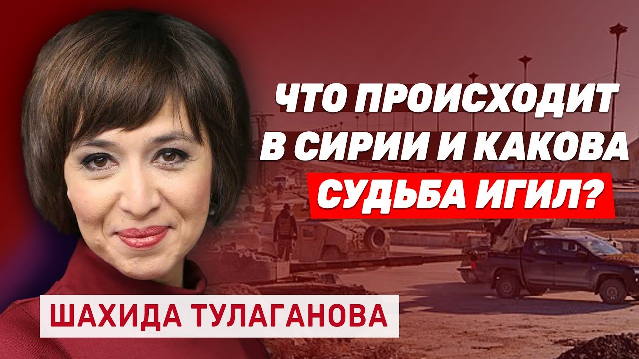 Шахида Тулаганова: Сирия под властью исламистов. Чего ждать Израилю?