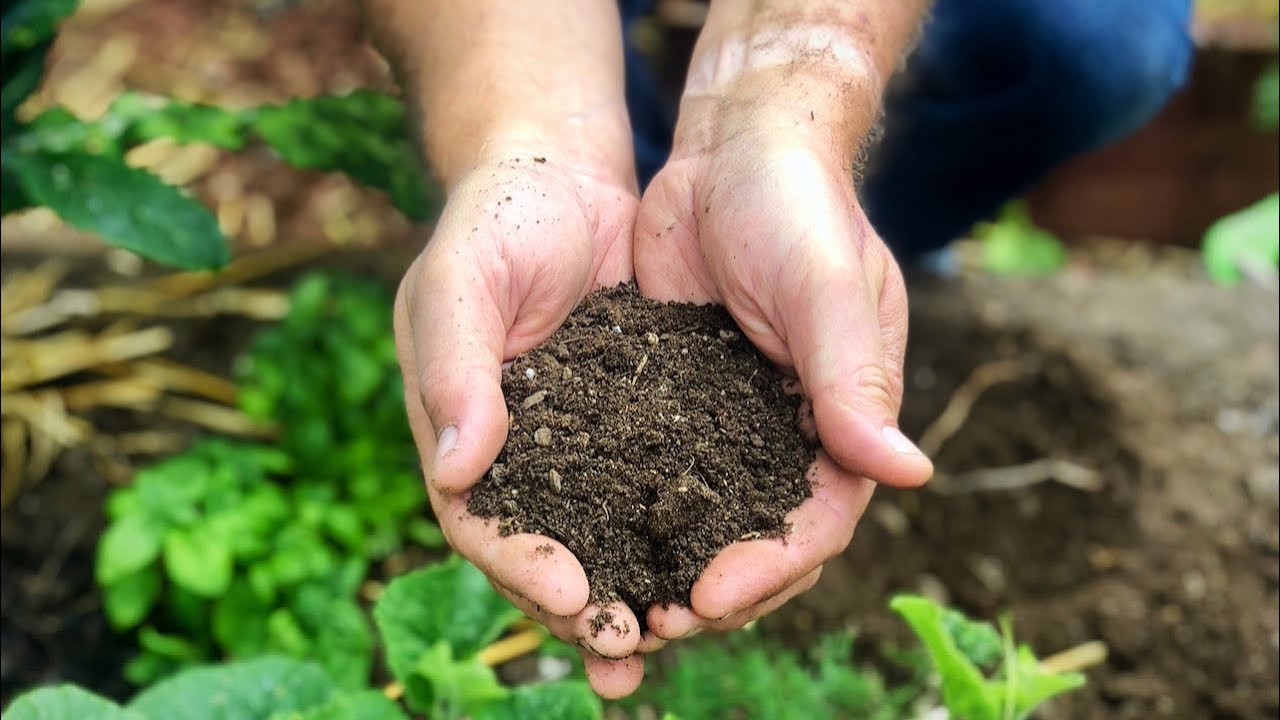 Руководство для начинающих по компостированию бокаши 🌱 | Пошаговое руководство для быстрого и про...