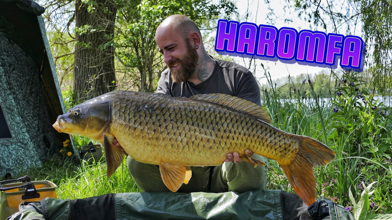 Videli ste už Lov kapra 29? Trailer, Haromfa, green hell,  carp fishing