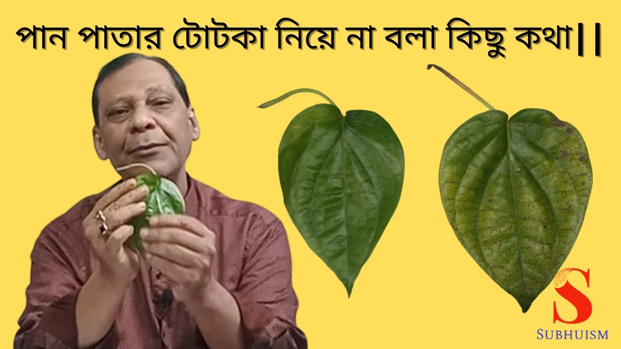 পান পাতার টোটকা নিয়ে না বলা কিছু কথা ||