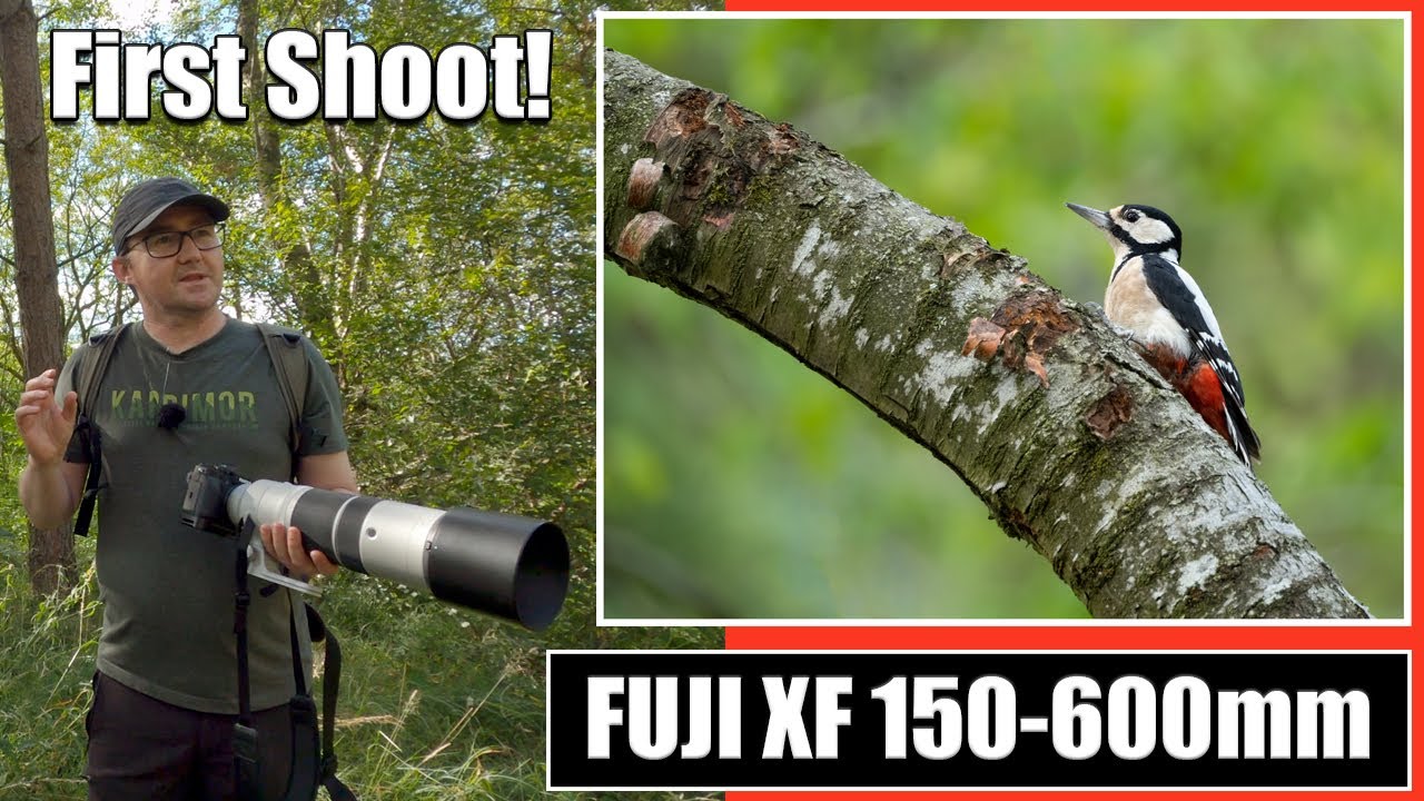 Fuji XF 150-600mm First Wildlife Photography Shoot With New Lens