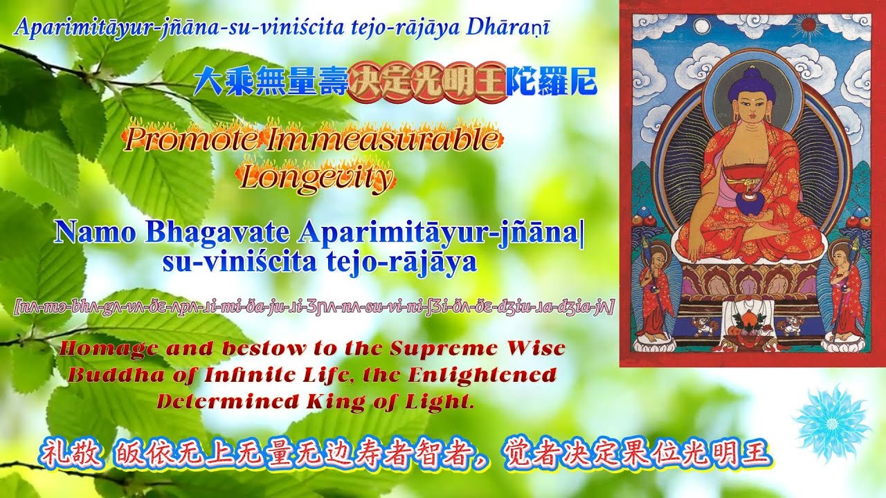 Essence of Immeasurable Longevity and Wisdom-King of Determined Light-Ten Small Mantras-圣无量寿决定光明王陀罗尼