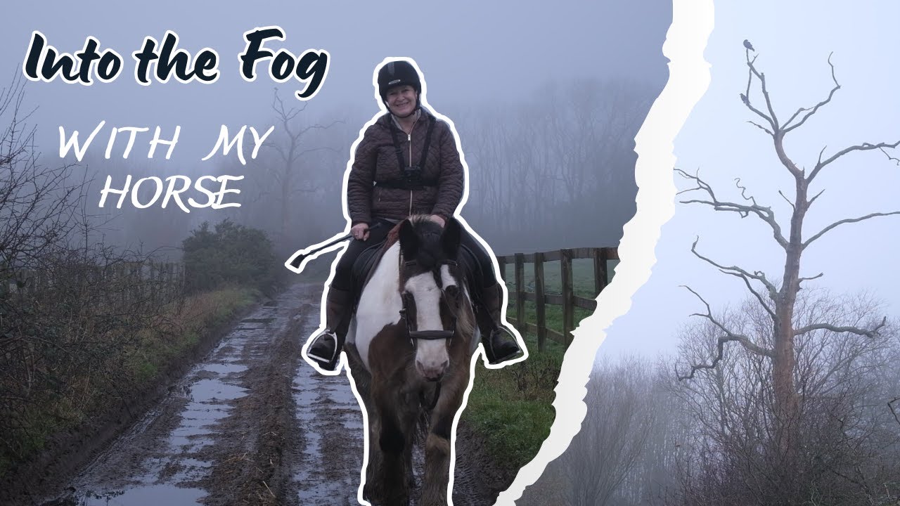 Into the Fog with My Horse
