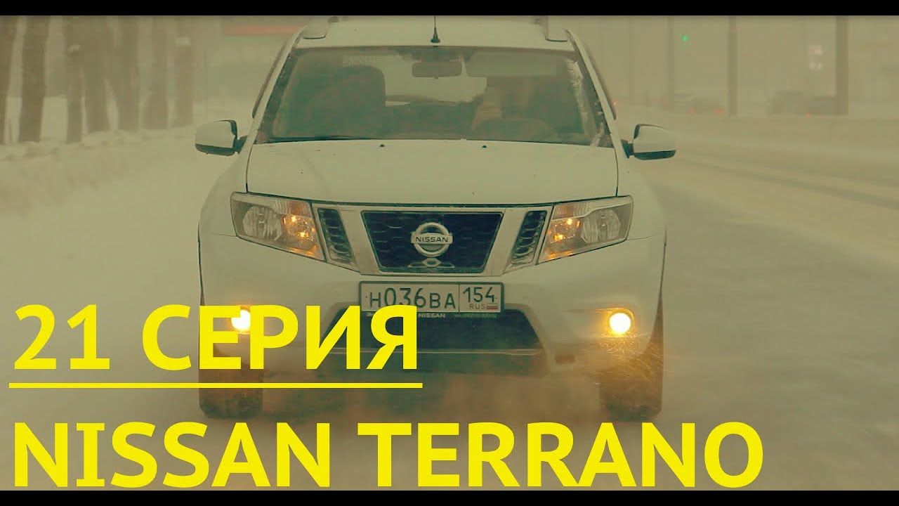 Автообзор Ниссан Террано (Nissan Terrano): замена и выбор подходящего масла!