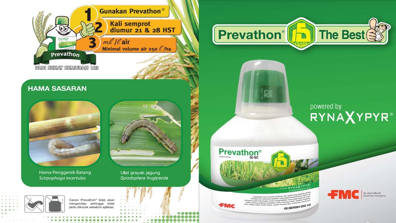 INSEKTISIDA LEGENDA  || PREVATHON 50SC