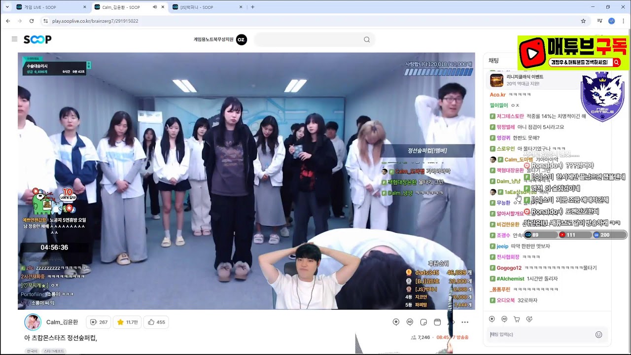 [뉴캣슬]스타 김정우 정선숲퍼컵 HM vs BGM