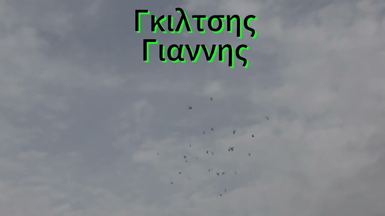 ΓΙΟΡΤΗ ΠΕΡΙΣΤΕΡΙΩΝ DREAM TEAM Ν.ΗΜΑΘΙΑΣ 2025