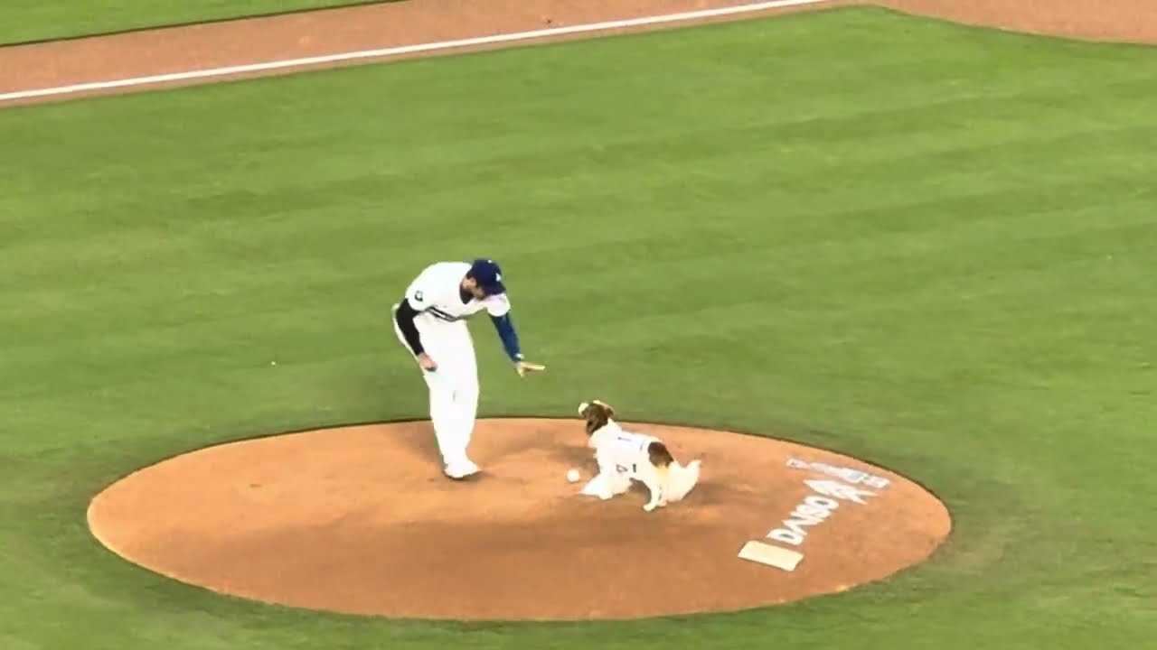 Shohei Ohtani with Decoy dog bobble head pitch 大谷翔平とデコピンワンちゃんのピッチ