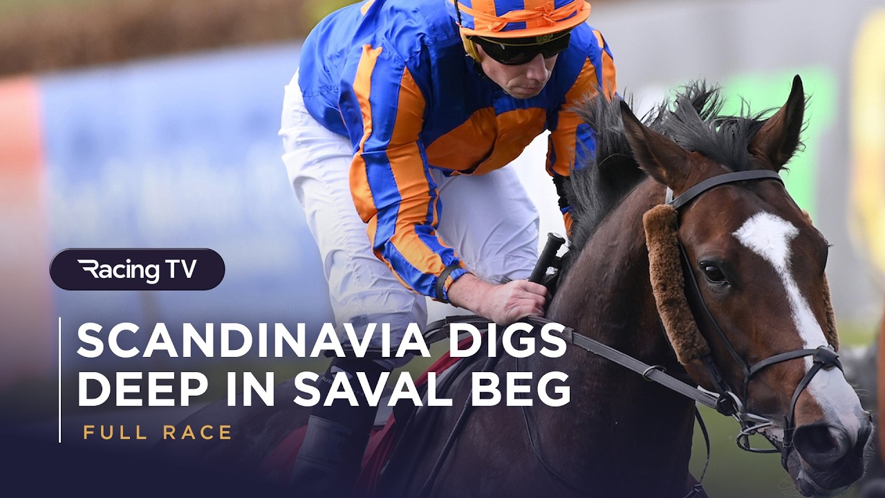 Scandinavia shows fighting spirit in Saval Beg Levmoss Stakes  | Racing TV | 2026 | Full Race