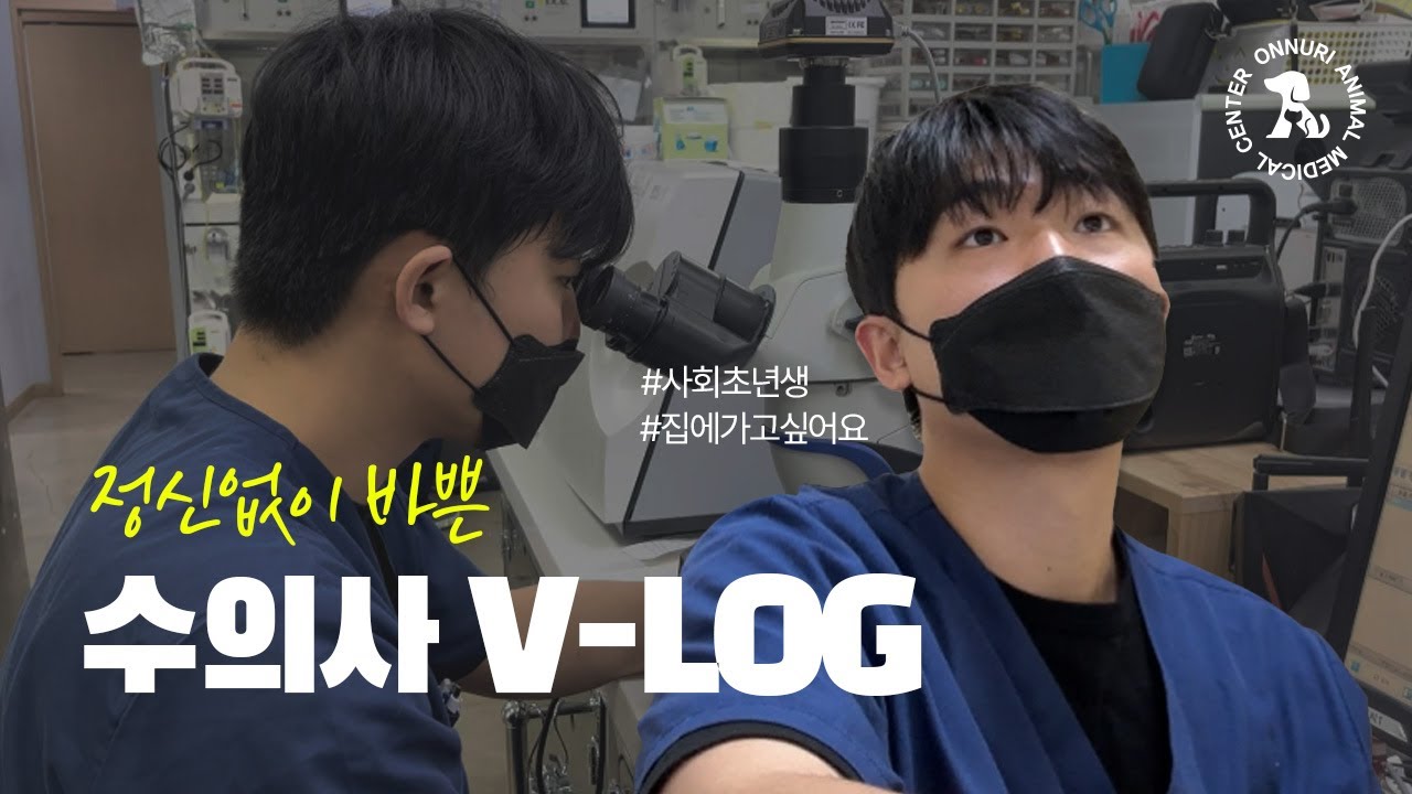 [VLOG] 동물병원 수의사 브이로그 | 2년차 내과 수의사🐤